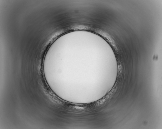 X0000097300159200803071759