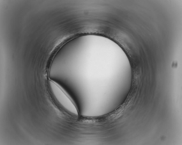 X0000097300160200803071759