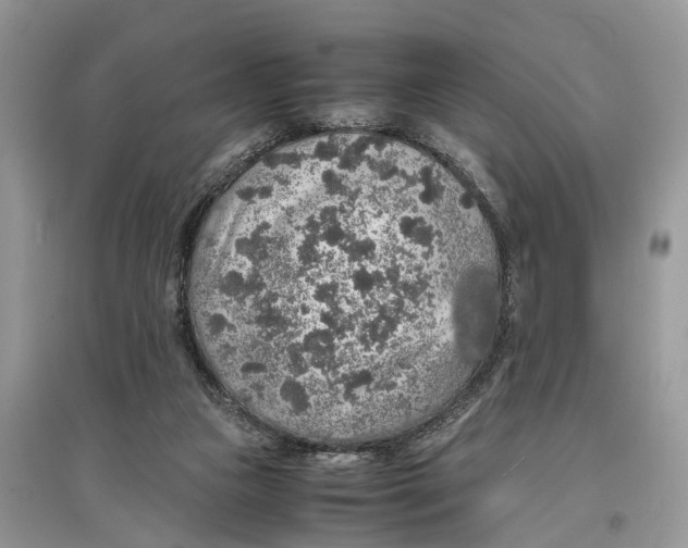 X0000097300161200803071759