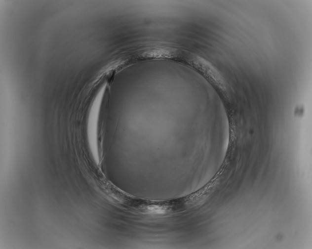 X0000097300163200803071759