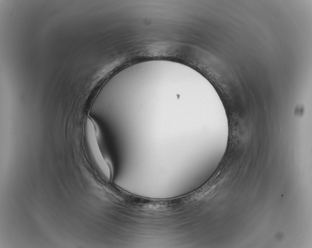 X0000097300164200803071759