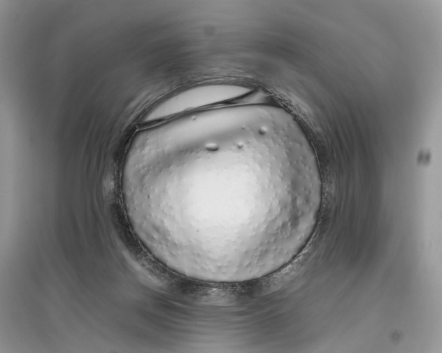 X0000097300166200803071759