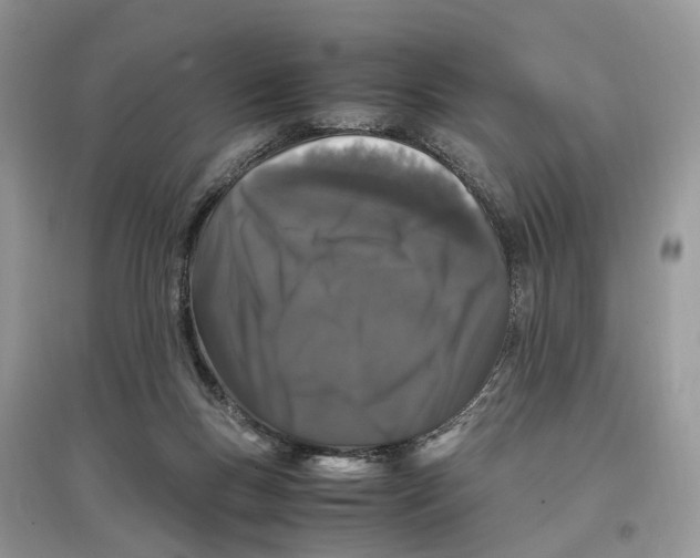 X0000097300167200803071759