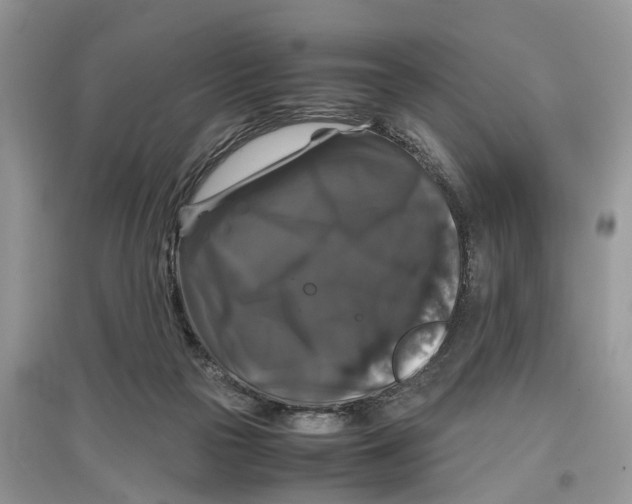 X0000097300169200803071759