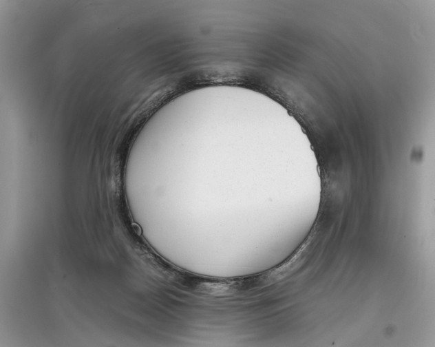 X0000097300170200803071759