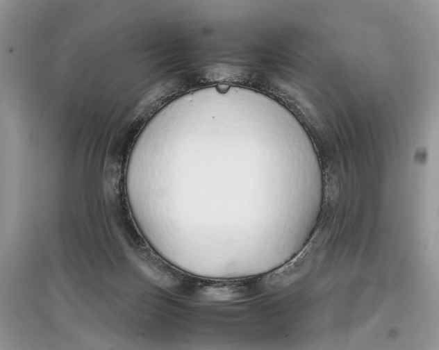 X0000097300171200803071759