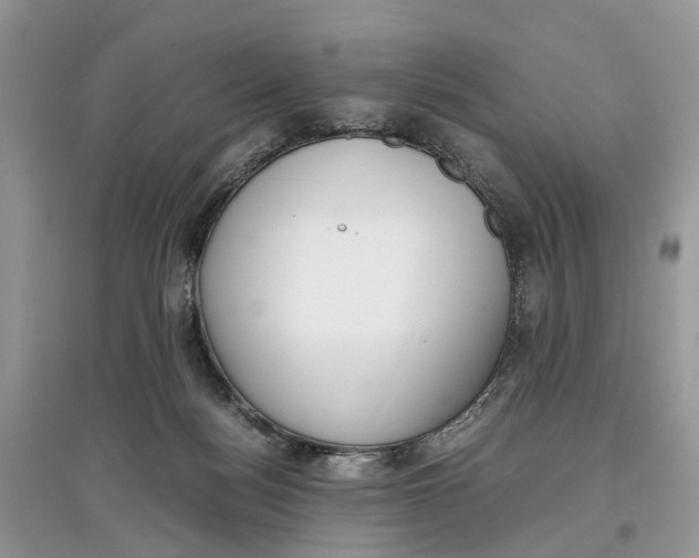 X0000097300172200803071759