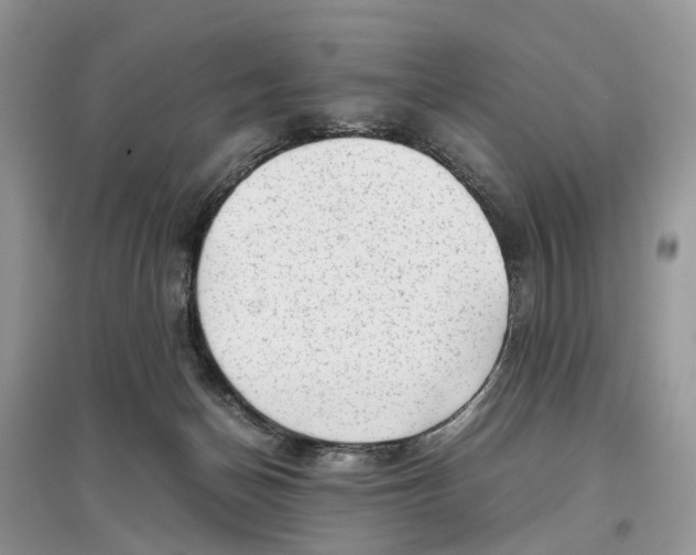 X0000097300174200803071759