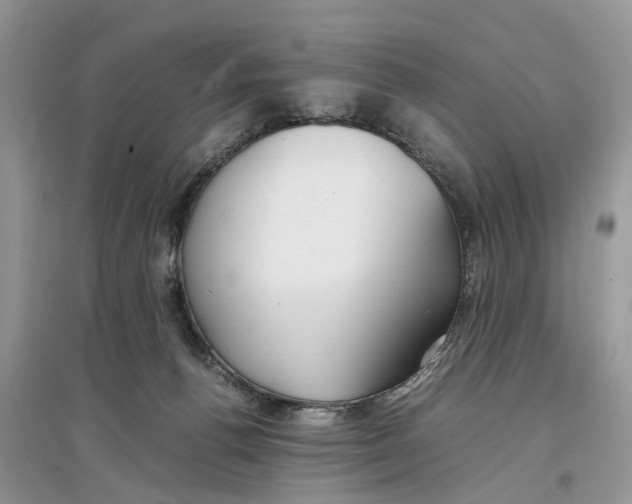 X0000097300176200803071759