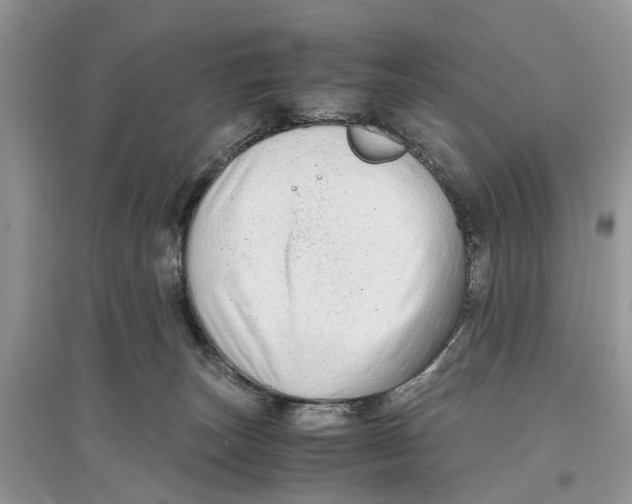 X0000097300179200803071759