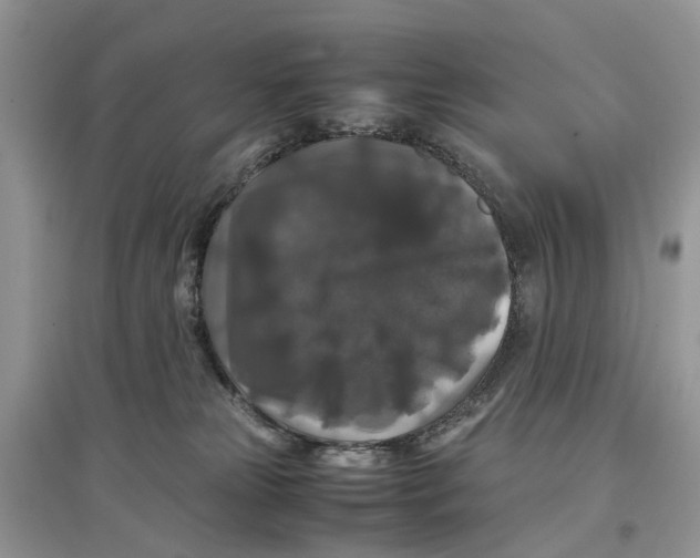 X0000097300181200803071759