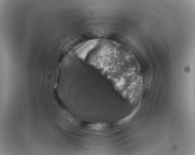 X0000097300182200803071759