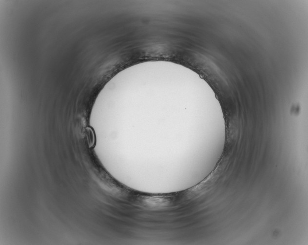 X0000097300183200803071759