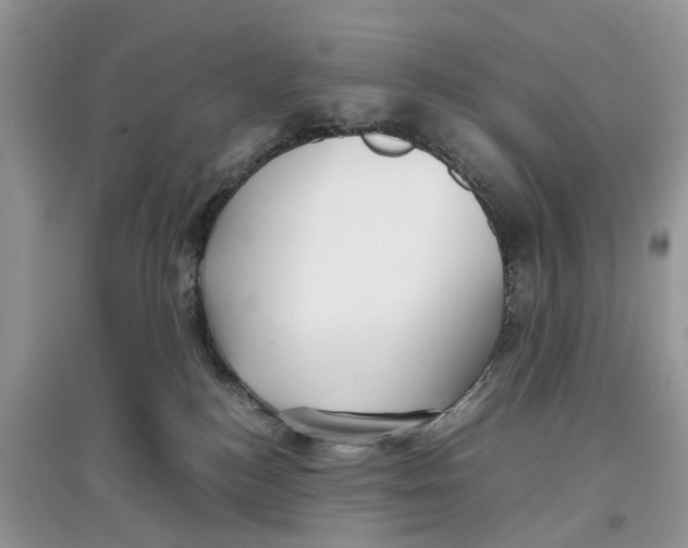 X0000097300184200803071759