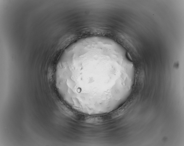 X0000097300185200803071759