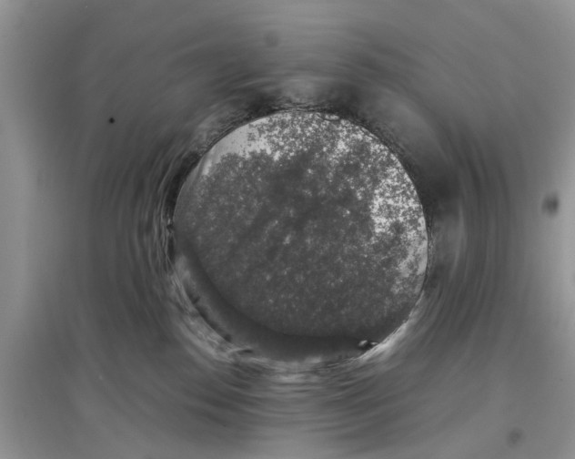 X0000097300186200803071759