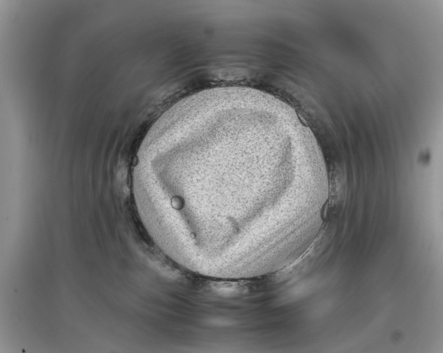 X0000097300187200803071759