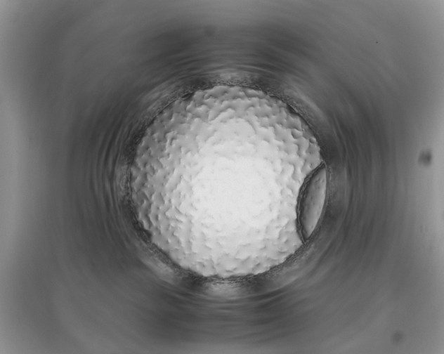 X0000097300189200803071759