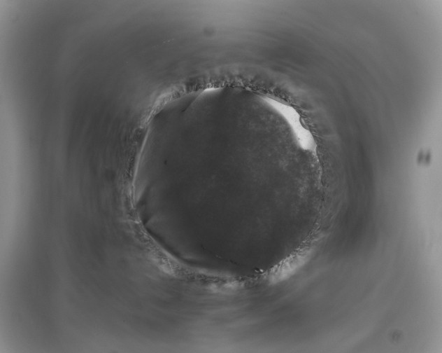 X0000097300192200803071759