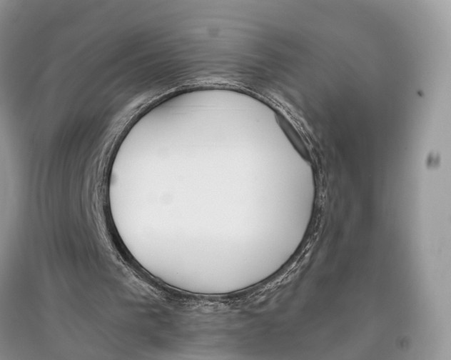 X0000097300193200803071759