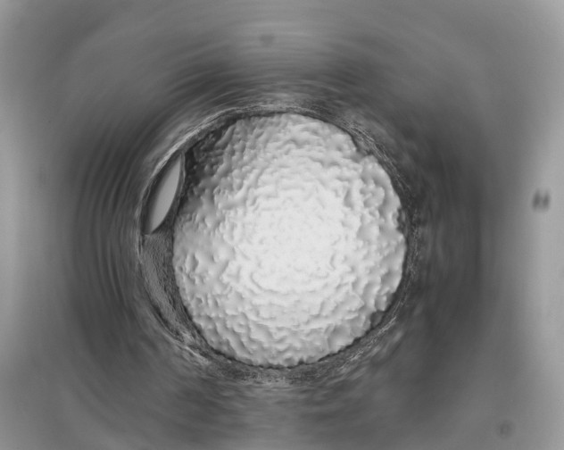 X0000097300194200803071759