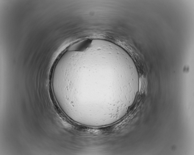 X0000097300195200803071759