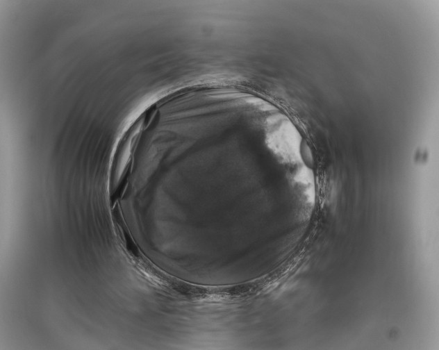 X0000097300196200803071759