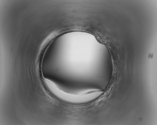 X0000097300197200803071759