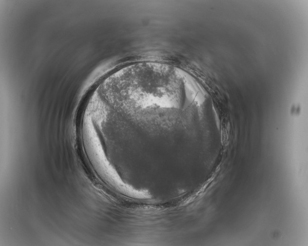 X0000097300198200803071759