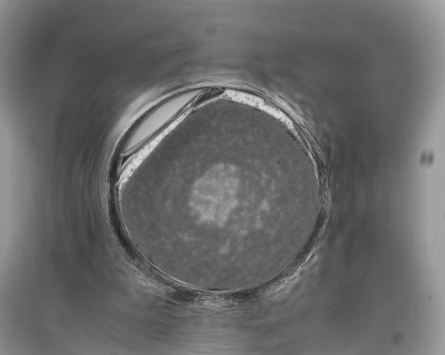 X0000097300199200803071759