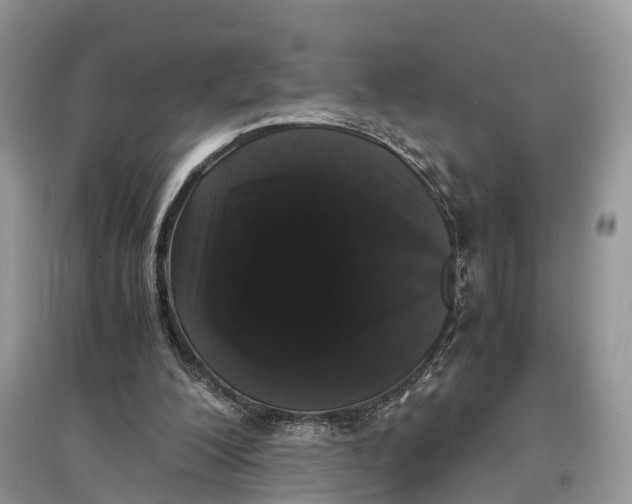 X0000097300200200803071759