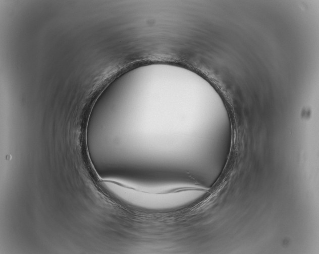 X0000097300201200803071759