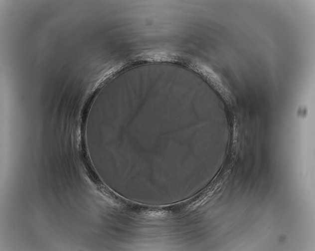 X0000097300202200803071759