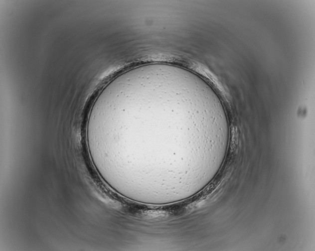 X0000097300203200803071759