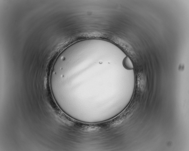 X0000097300206200803071759