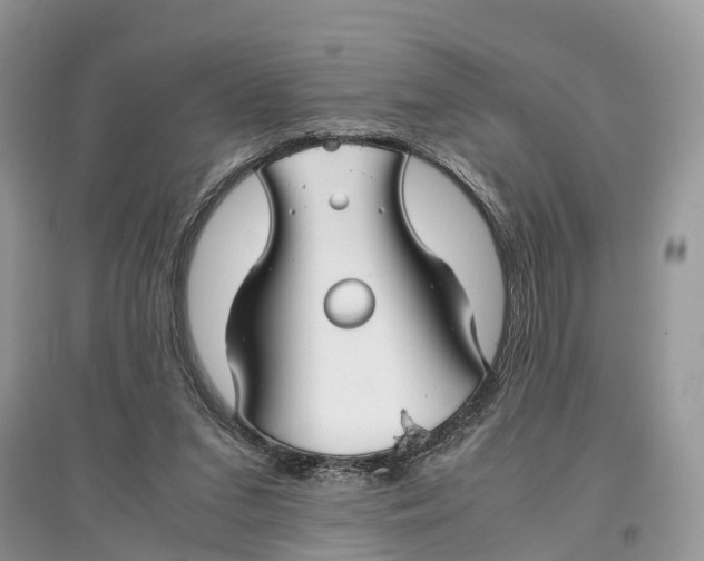 X0000097300207200803071759