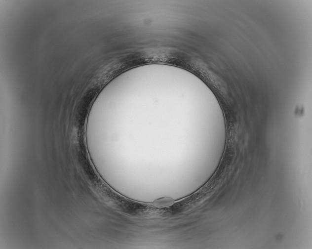 X0000097300209200803071759