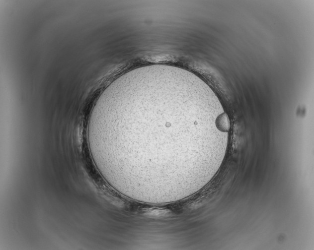 X0000097300210200803071759