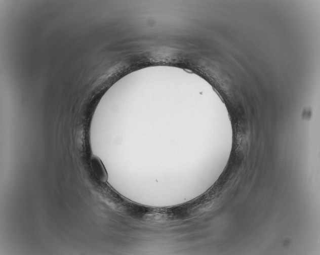 X0000097300211200803071759