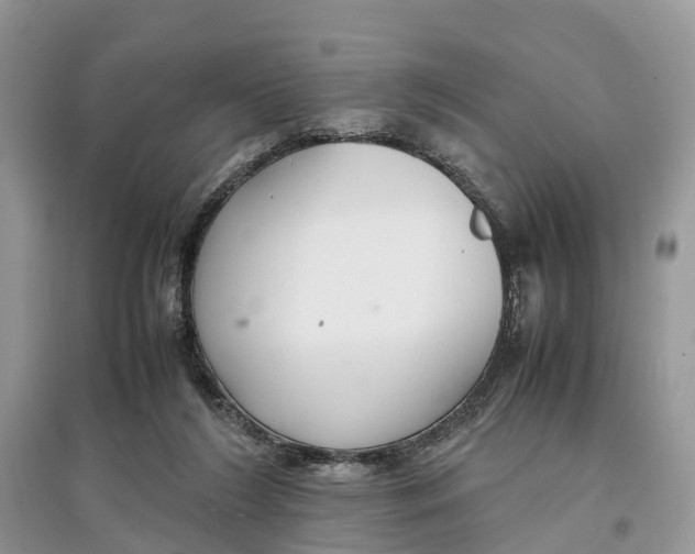 X0000097300212200803071759