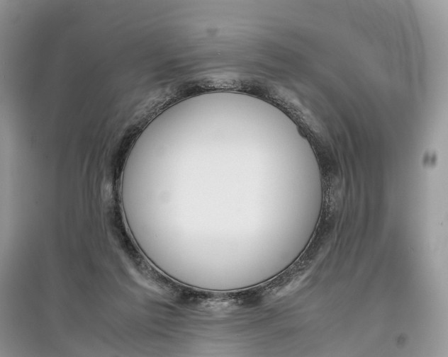 X0000097300213200803071759