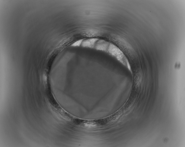 X0000097300214200803071759