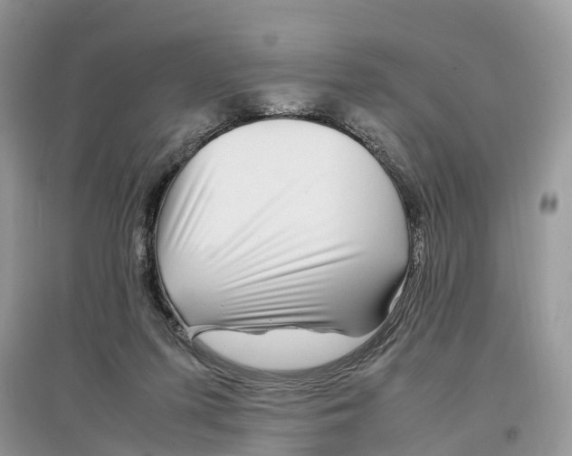 X0000097300215200803071759