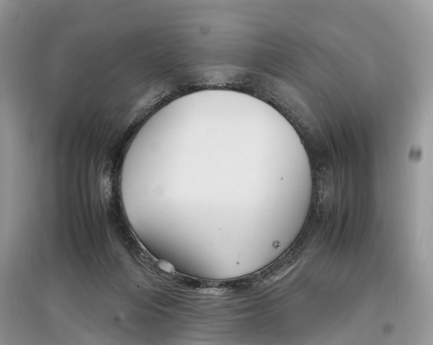 X0000097300216200803071759