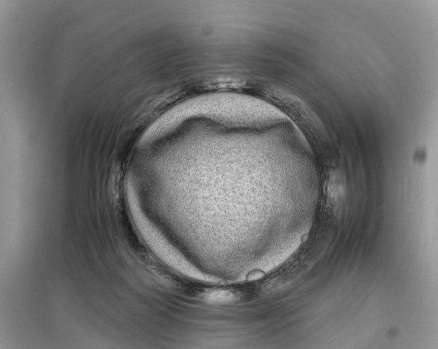 X0000097300218200803071759