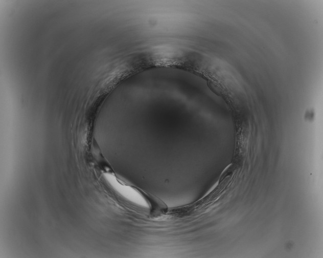 X0000097300219200803071759