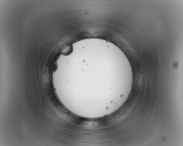 X0000097300220200803071759