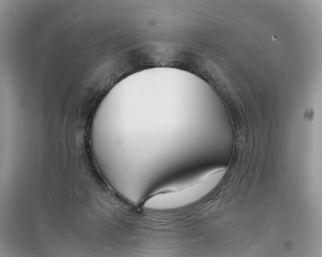 X0000097300221200803071759