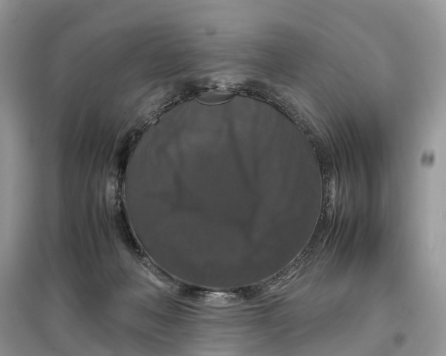 X0000097300222200803071759