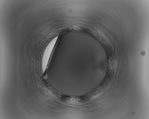 X0000097300223200803071758